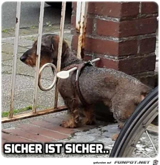 Sicher ist sicher Sicher ist sicher