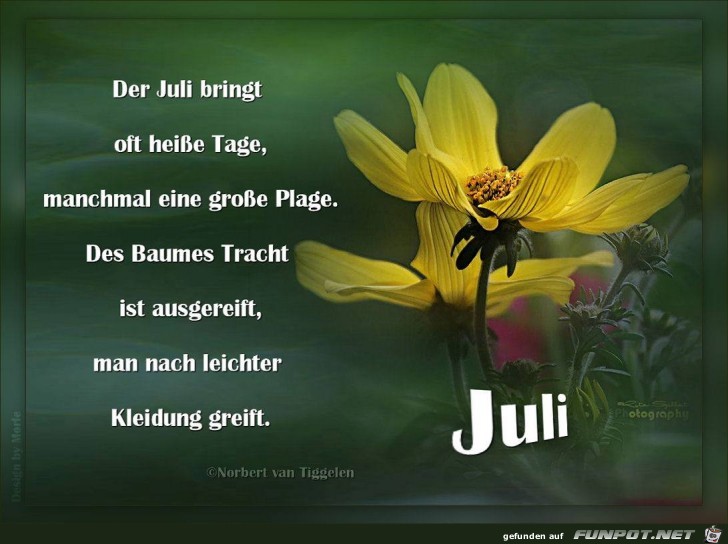 Juli 2017 Juli 2017