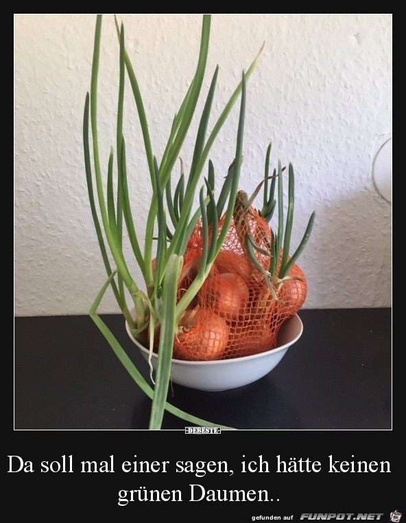 Grüner Daumen Grüner Daumen