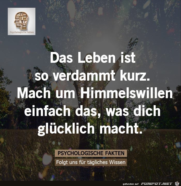 Zu kurz Zu kurz