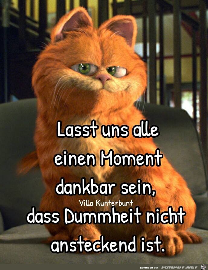 Lasst uns dankbar sein