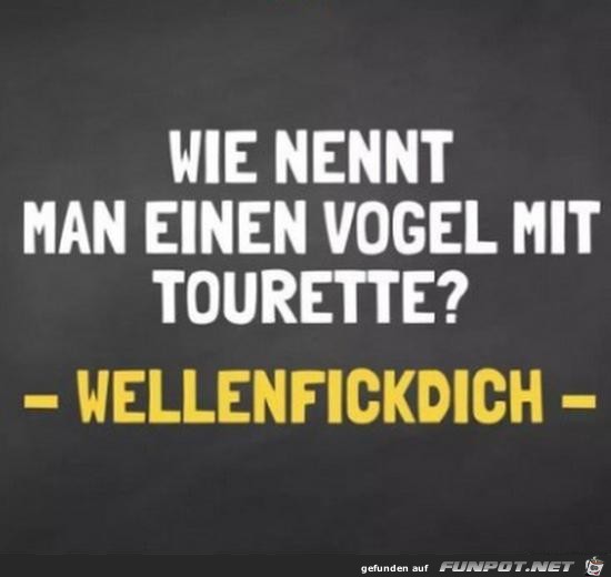 Vogel mit Tourette