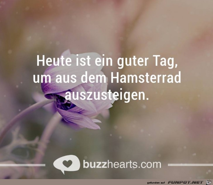 Heut ist ein guter Tag