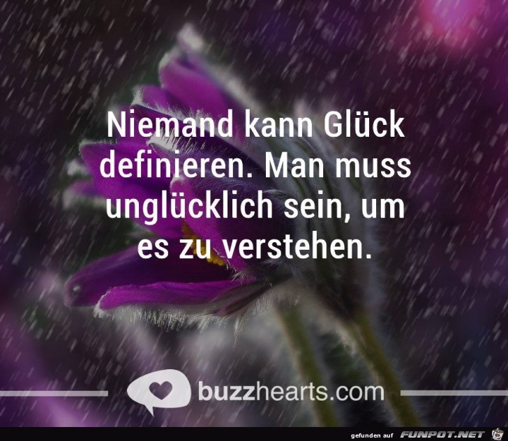 Niemand kann Glueck definieren Niemand kann Glueck definieren