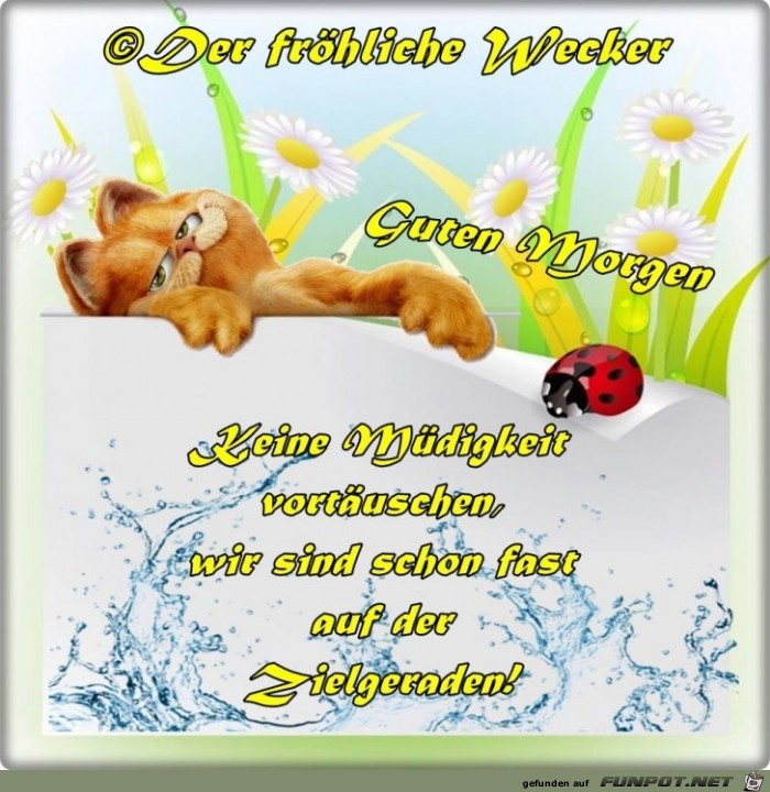 Keine Muedigkeit Keine Muedigkeit