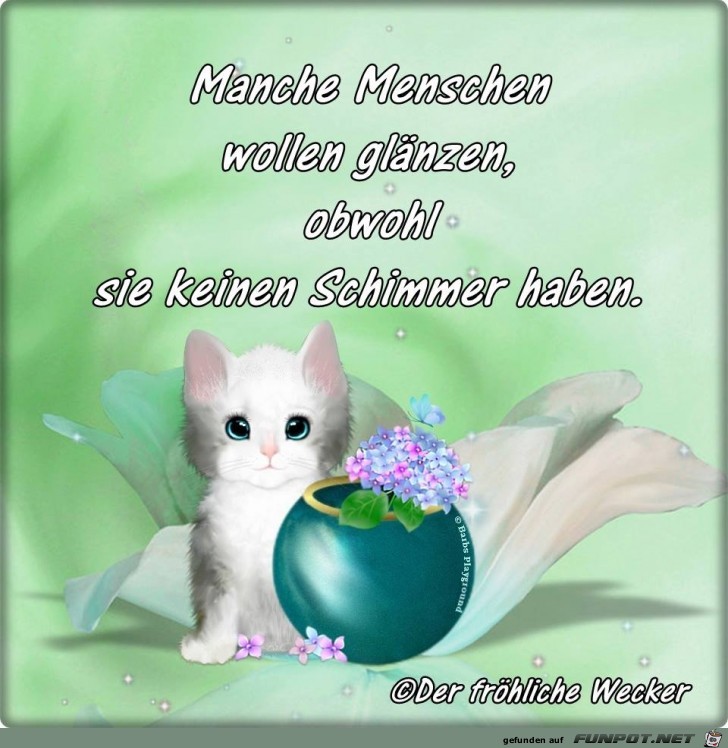 Manche Menschen wollen Glaenzen Manche Menschen wollen Glaenzen