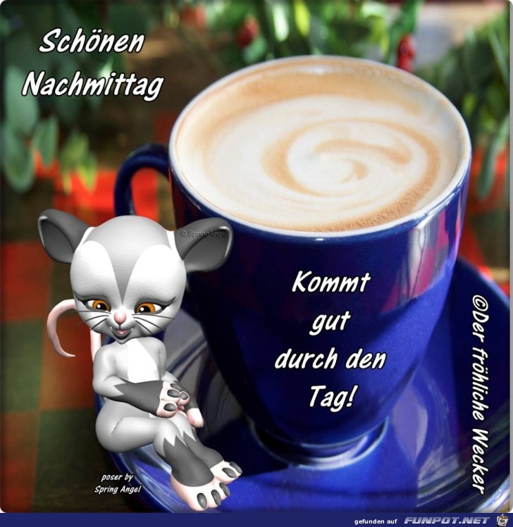Schoenen Nachmittag Schoenen Nachmittag