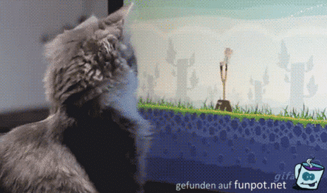Beschäftigung Beschäftigung