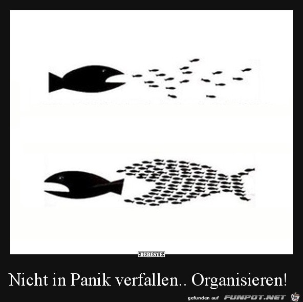 Guter Plan Guter Plan