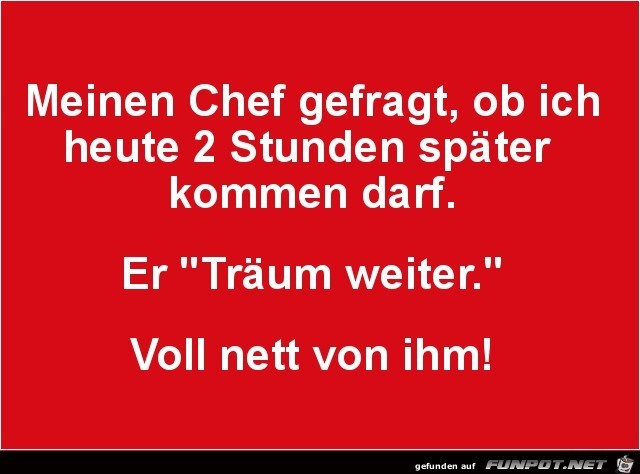 Netter Chef