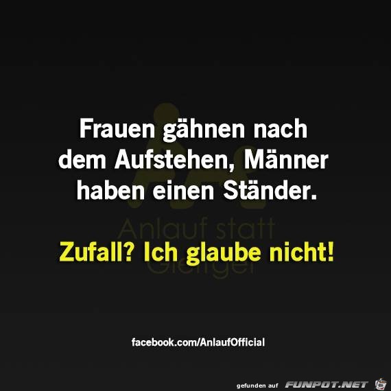 Morgentlicher Zufall Morgentlicher Zufall