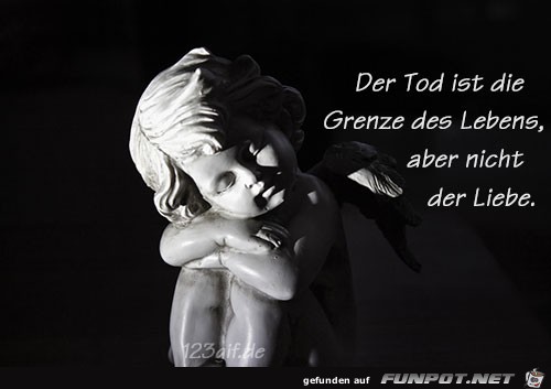 der Tod ist die Grenze des Lebens.......