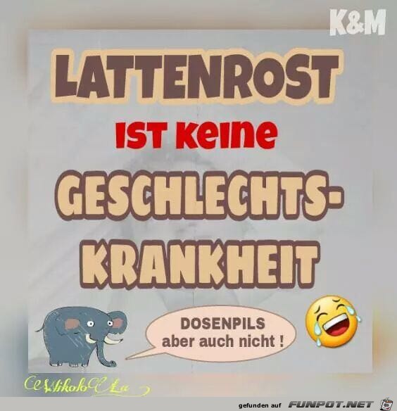 Lattenrost...