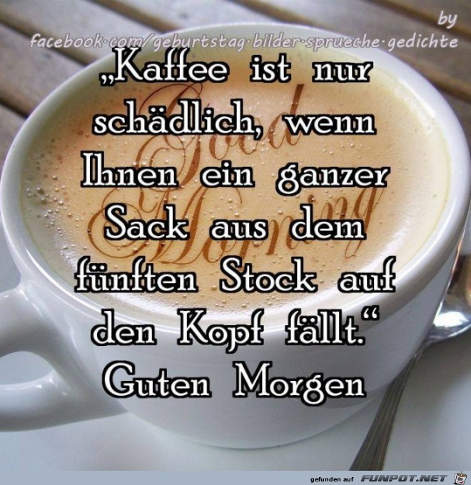Kaffee ist nur schaedlich Kaffee ist nur schaedlich