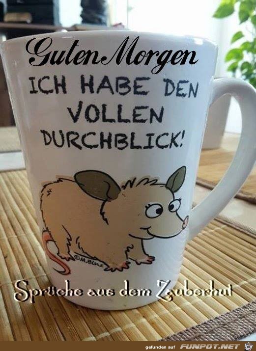 Hab den vollen Durchblick Hab den vollen Durchblick
