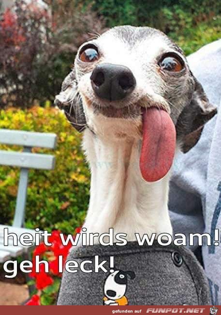 Ziemlich warm Ziemlich warm