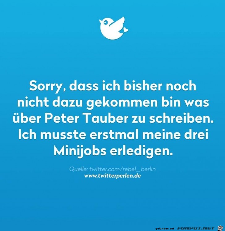Sorry Sorry