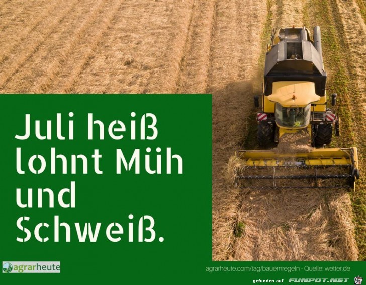 Bauernregel Juli Bauernregel Juli