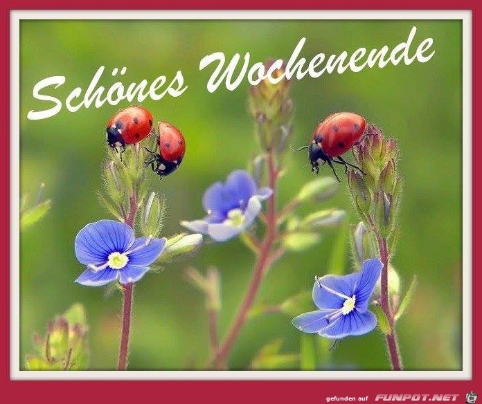 Schoenes Wochenende