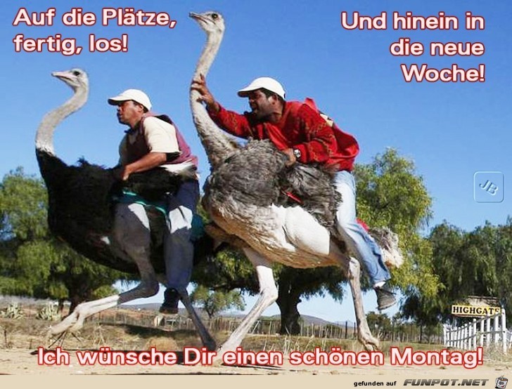 Montag Montag