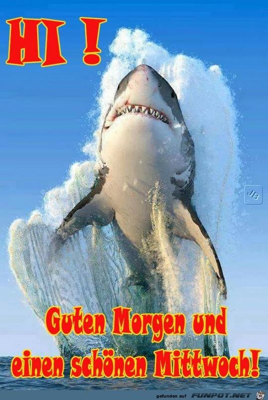 Mittwoch Mittwoch