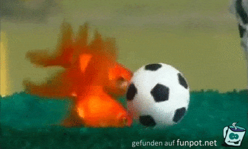 Fisch-Fußball Fisch-Fußball