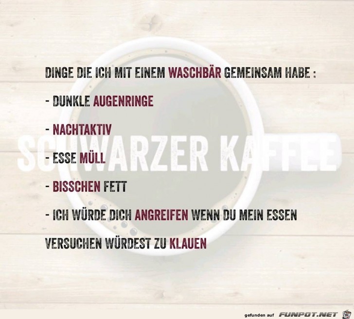 Ich und ein Waschbär Ich und ein Waschbär