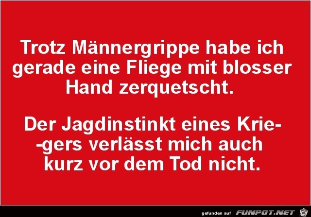 Ein Held Ein Held