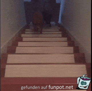 Tür-Angst Tür-Angst