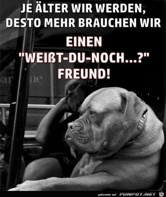 Weißt-du-noch-Freund Weißt-du-noch-Freund