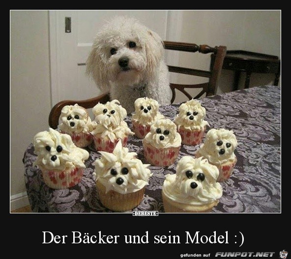 Klasse Modell Klasse Modell