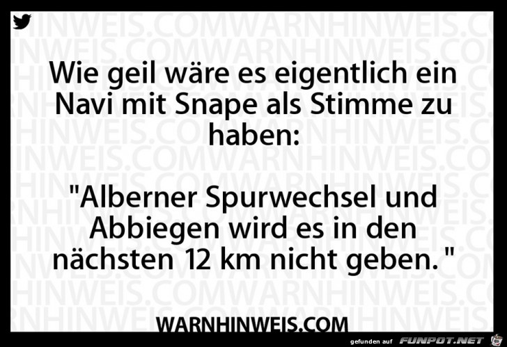 Andere Navi-Stimme Andere Navi-Stimme