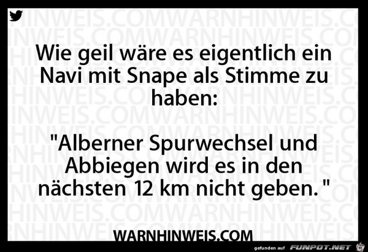 Andere Navi-Stimme