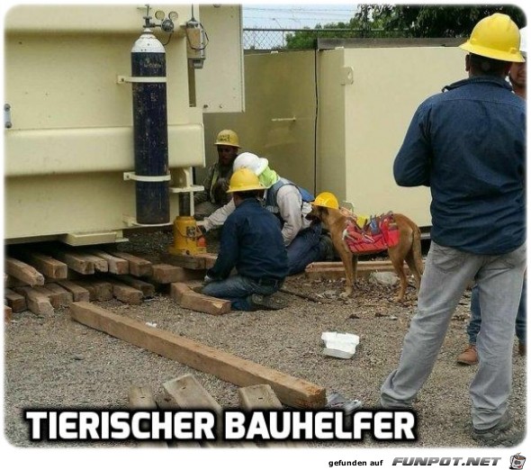 Bauhelfer