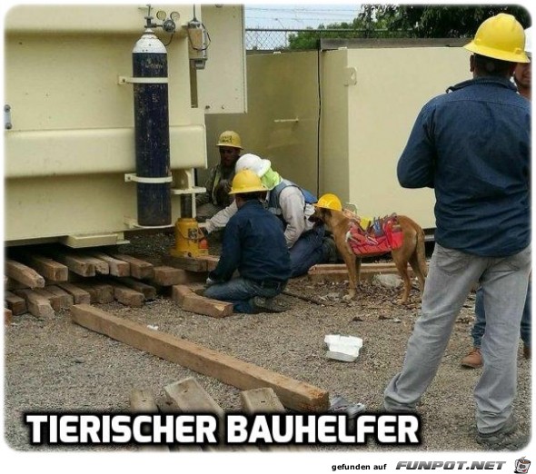 Bauhelfer Bauhelfer