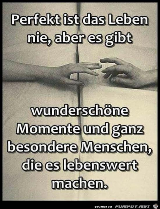 perfekt ist das Leben nie, aber es gibt....... perfekt ist das Leben nie, aber es gibt.......