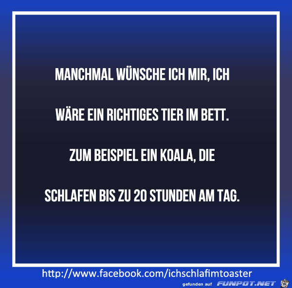 Tier im Bett Tier im Bett