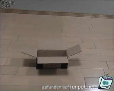 Aber der Kopf passt rein Aber der Kopf passt rein