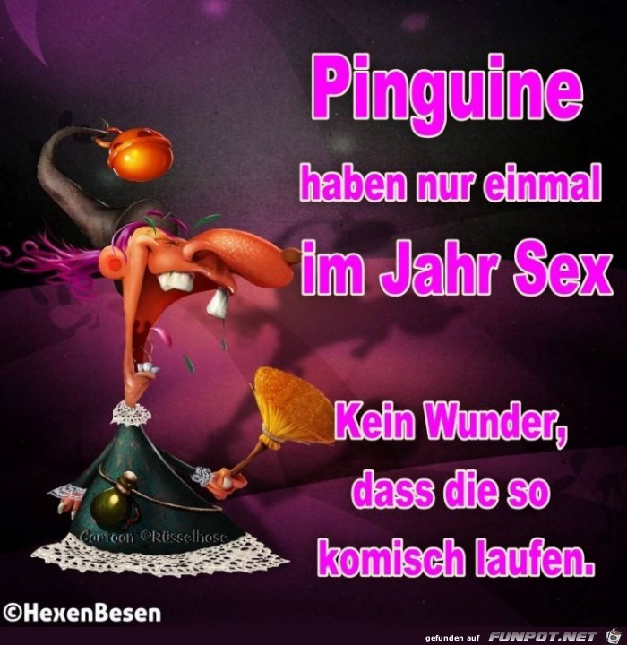 Pinguine Pinguine