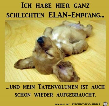 Schlechter Elan-Empfang Schlechter Elan-Empfang