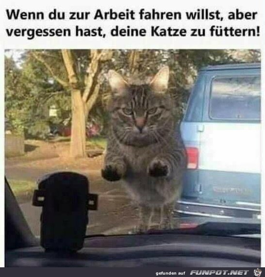 Du hast wohl was vergessen Du hast wohl was vergessen