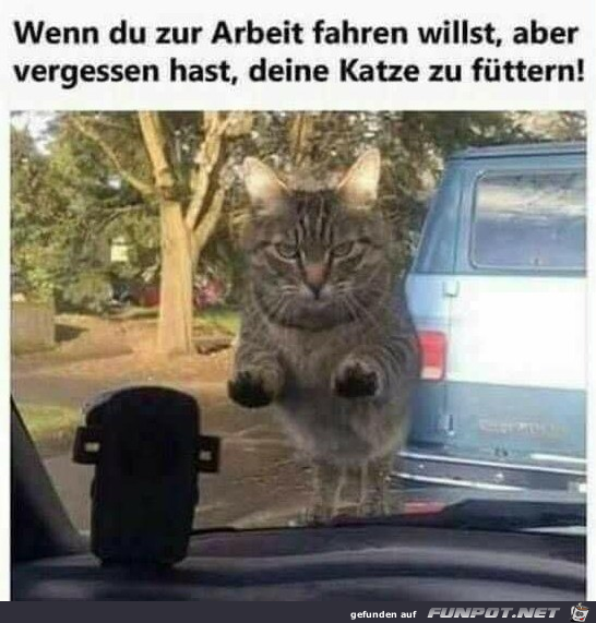 Du hast wohl was vergessen Du hast wohl was vergessen