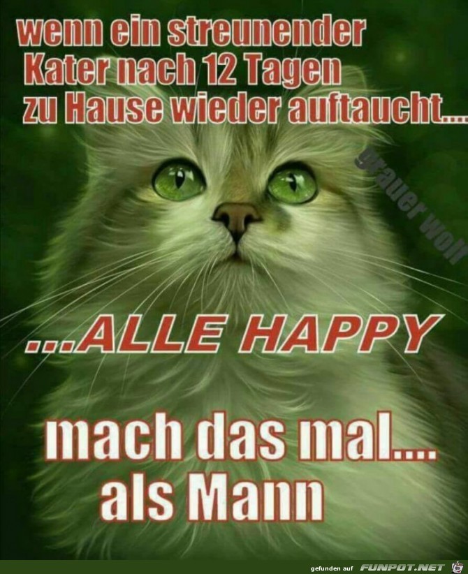 Vergleich Vergleich