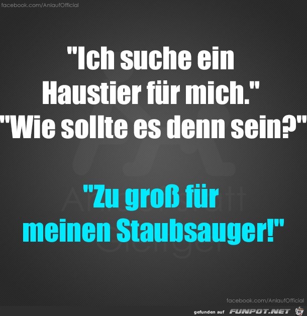 Ich suche ein Haustier Ich suche ein Haustier