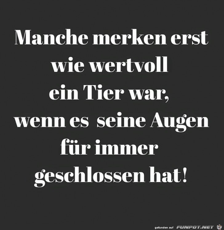 Tiere sind wertvoll Tiere sind wertvoll