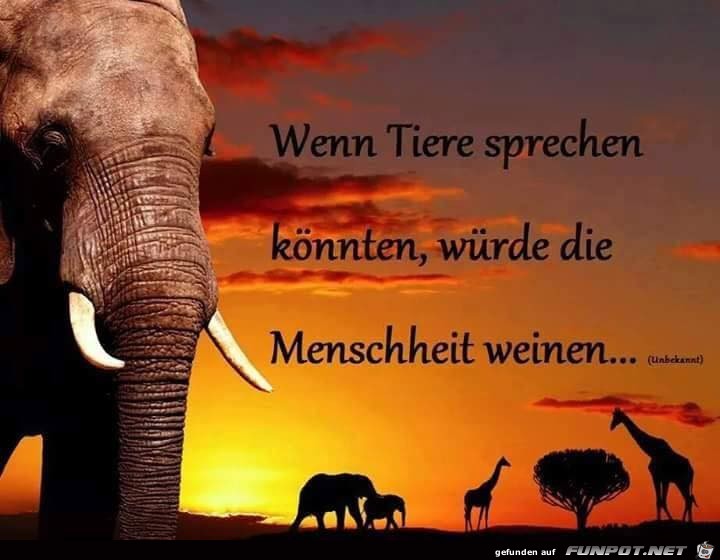 Wenn Tiere sprechen knnten