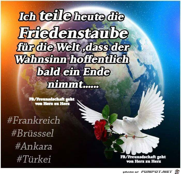 Friedenstaube fr die Welt