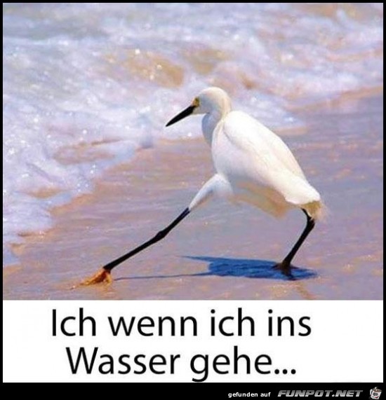 Ich Ich