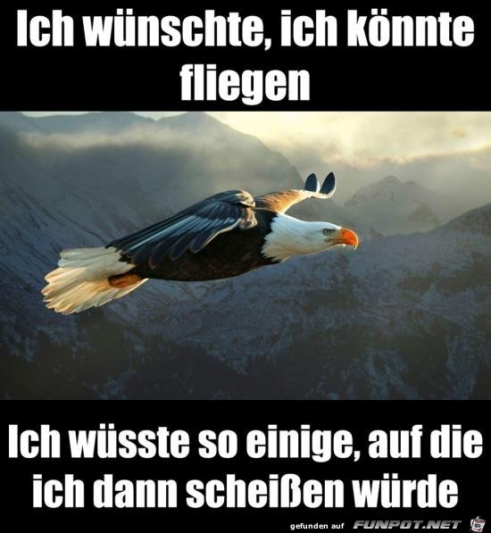 ich wnschte ich knnte fliegen......