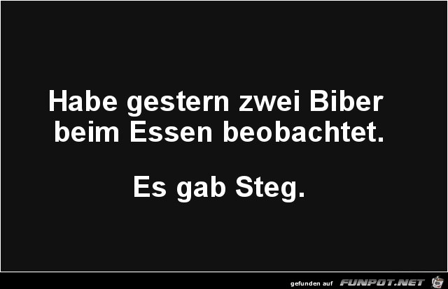 Biber beim Essen Biber beim Essen